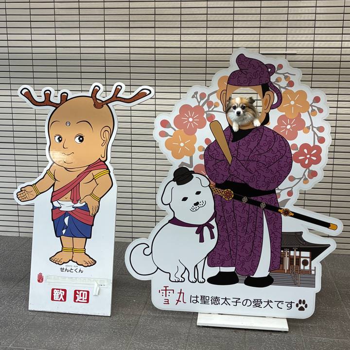 E6771eb1 74b0 4e86 abb4 b4cd3ef31767 1777166841487