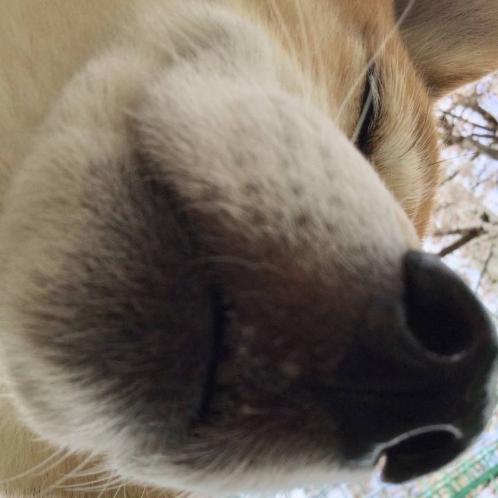 E6774359 362f 4edc 835e 19e0eee51e2b 1585361809741