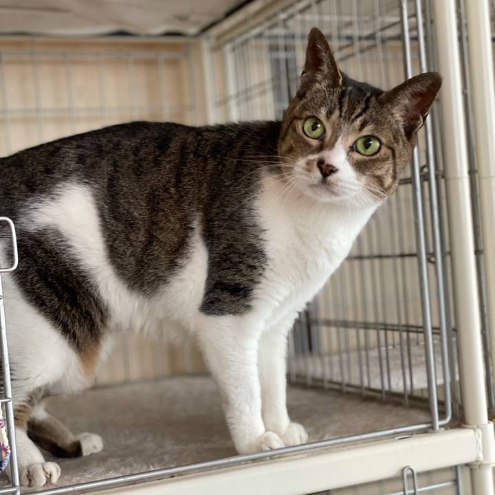 E6778941 aee3 4718 a268 66128cfaf860 1622253297701