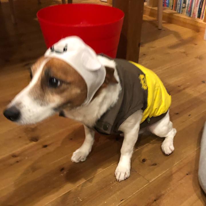 E6778d7f f1ec 4abd b1b8 44533b38cc5e 1580197120537