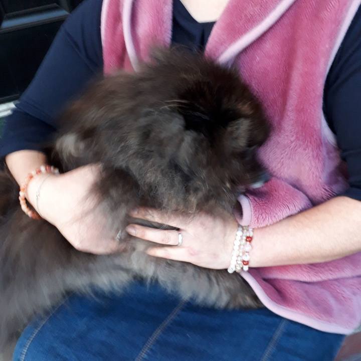 E678162d b0c1 413e b053 dcae63f121fb 1519722325869