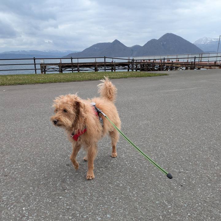 E6781d24 bbcc 4e0b bb9c d06f1b29216a 1744009252480