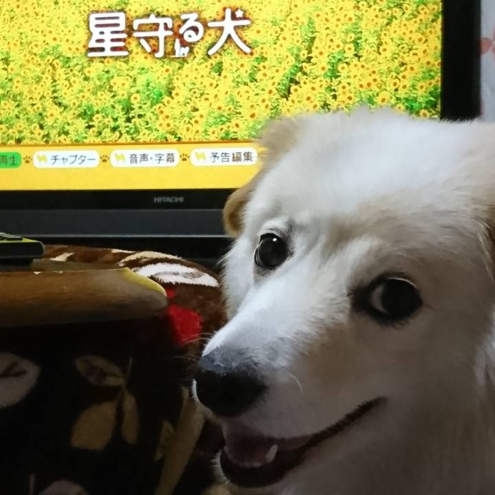 E67823d3 bb91 45ee 8d91 701b01c6c3c3 1527070861037