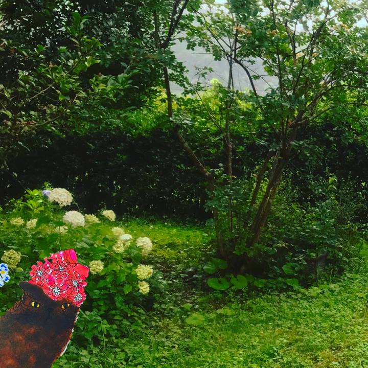 E67833a0 fafc 4611 a01e feeb0e25fff7 1626356981325