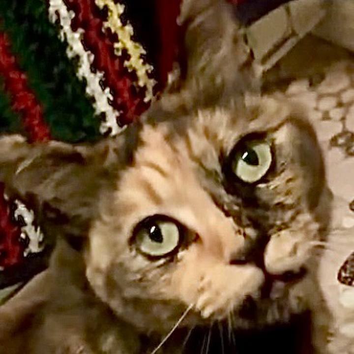 E6784636 bf8a 41ae b9fe 57abcedd5354 1748546882134