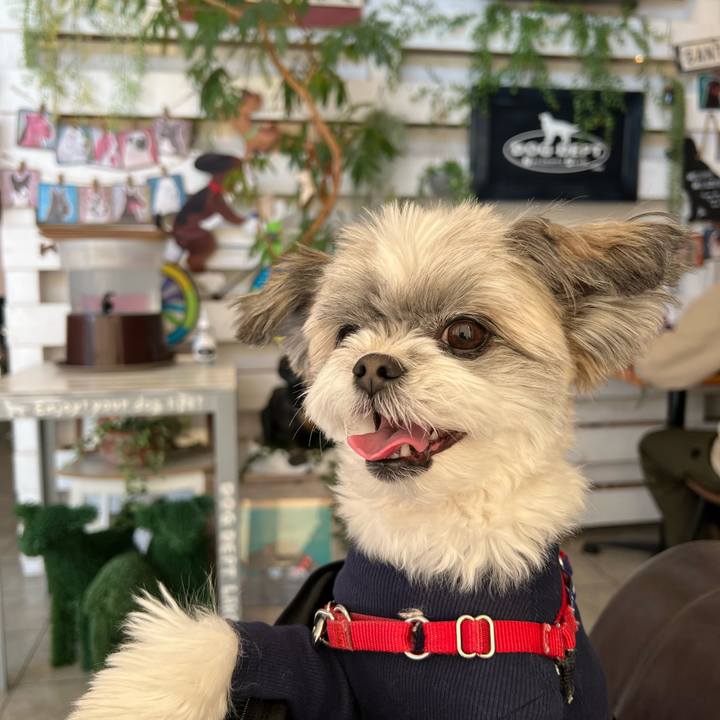 E6785fbc 62ba 4dd3 b3b5 273b91fa2554 1643877048030