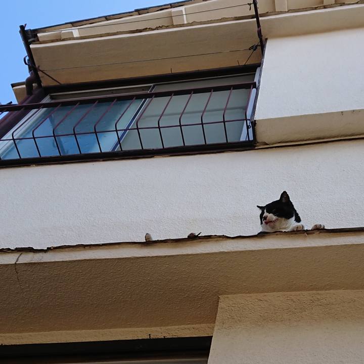 E67877ca 4316 40b7 ba05 4a4119b36d11 1627456122538