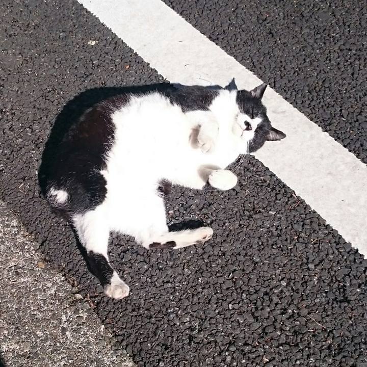 E6788354 5027 410a abab b725ad06eb88 1519877791045