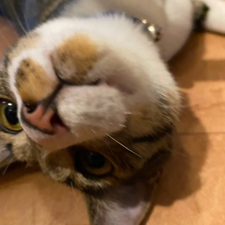 E678bb79 013f 49b1 ae9e 11ca45d2f07c 1662546270114