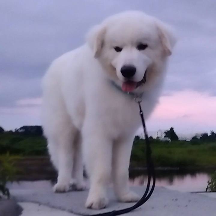 E678fa50 ab6a 43ed 80f7 e950d1a40064 1691444532859