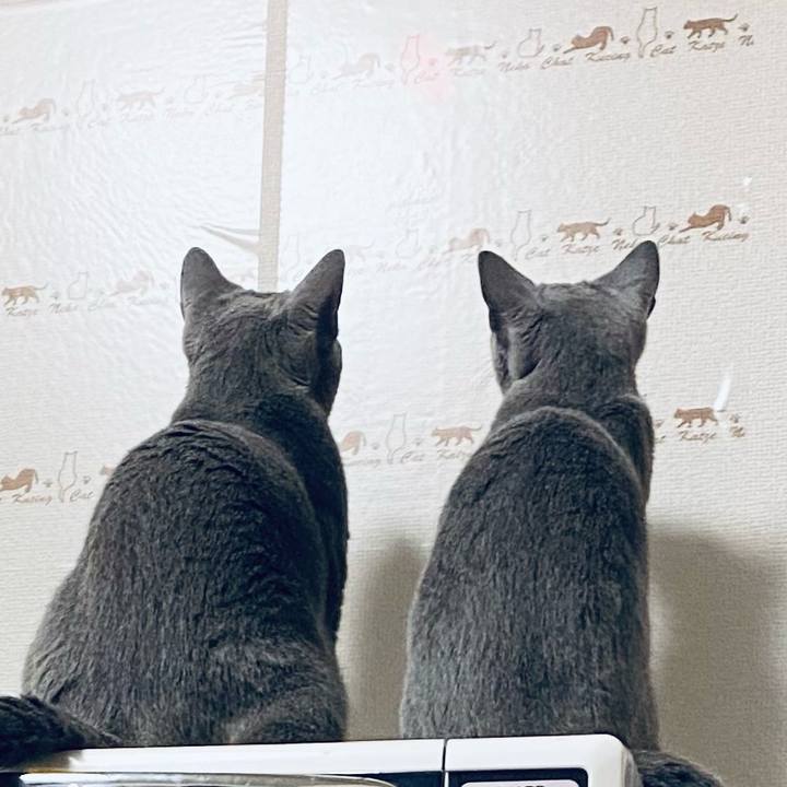 E6792b41 1ef5 4bc1 9eba b9434dd7d900 1630537016063