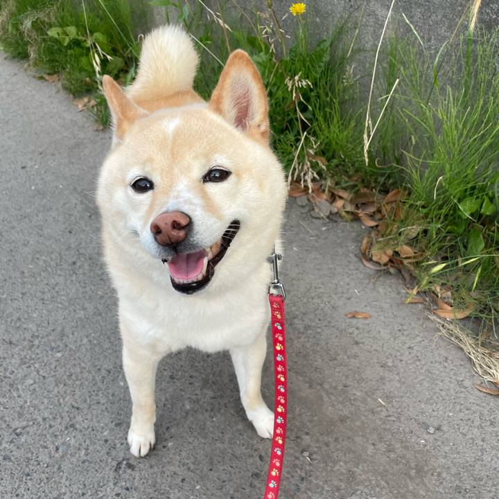 E679383b 6bec 453a b7ab 098dcc3764f6 1716799791467