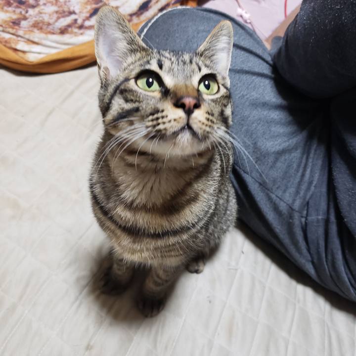 E67943e1 e8a9 4a4a bba6 f963973e1992 1546512648474