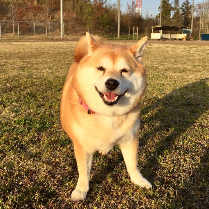 E6796857 816d 4e10 8403 51c44f5aa736 1586315219107