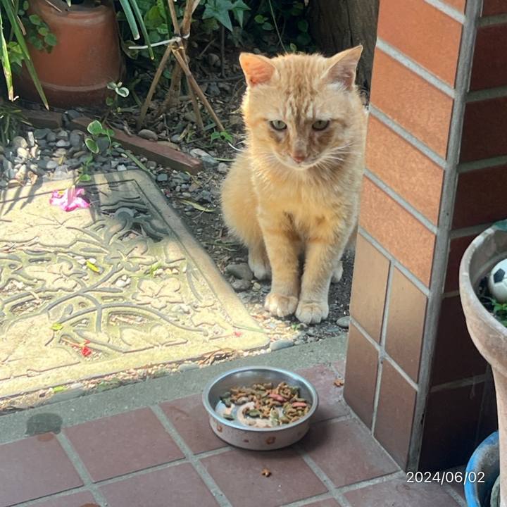 E6797be1 91e1 44bf 853e 2fbee0051b37 1717296946513