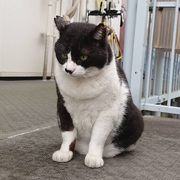 E67987b9 9d0e 4782 9af9 e1f119bd5895 1628464433958