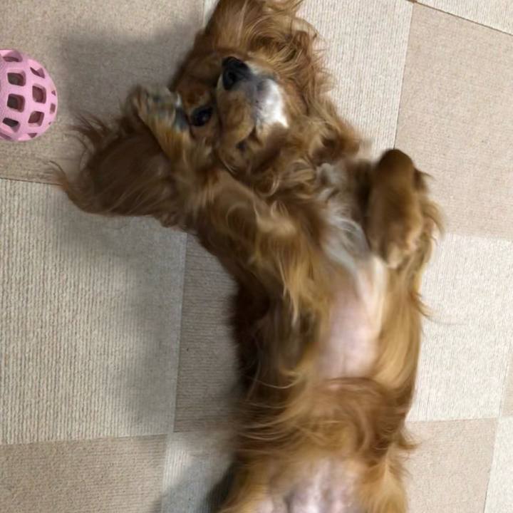 E6798b24 c5bc 4df1 9fb8 5eee774617ce 1606835222832