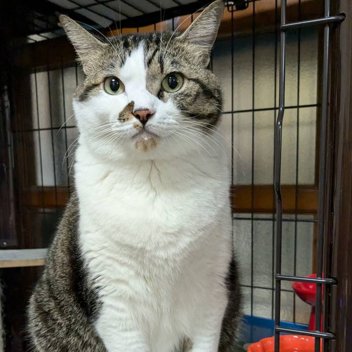 E6798fae 3239 444f 83c1 65484f3ab0a9 1730287666248