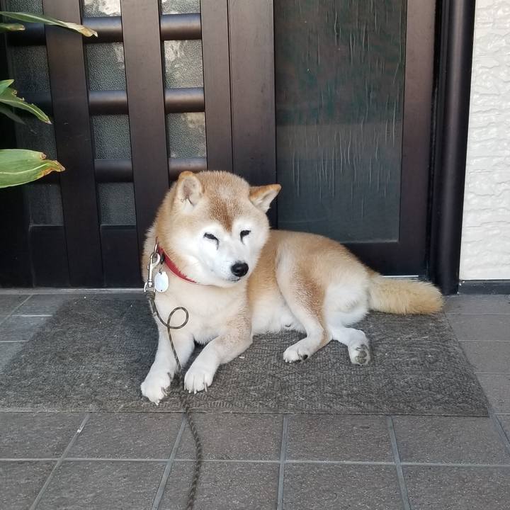 E6799bb5 a023 4a76 a455 6a9c77ed20a4 1728690542252