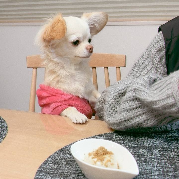 E679b7ec b477 4a36 84b7 978df2a6d543 1702733109643