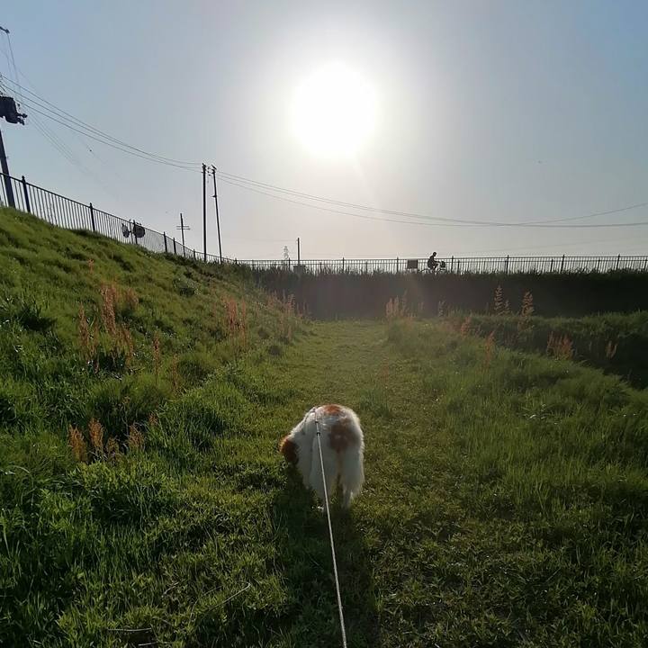 E679c023 0dd9 4f1a a5e6 2ae56710e7b0 1619005252116