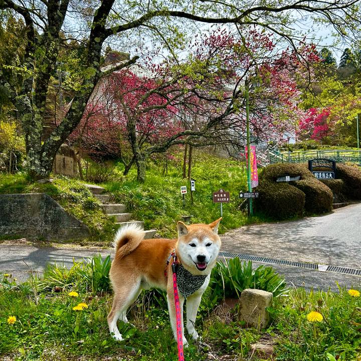 E679c34d 03fd 443f 85bb dd7f4f685424 1713354361550