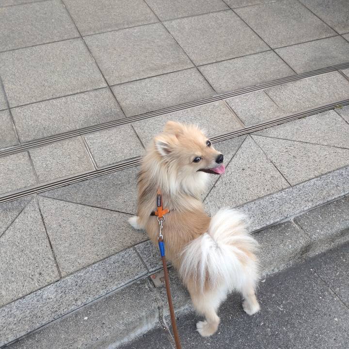 E679d341 9e2b 4991 be2b 8e90675c1725 1750197549160