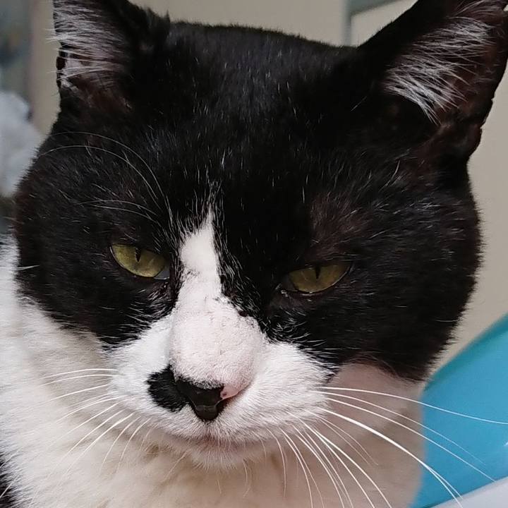 E679d5b4 47e7 4fbb ab34 dbd9a2264e3f 1526342011237