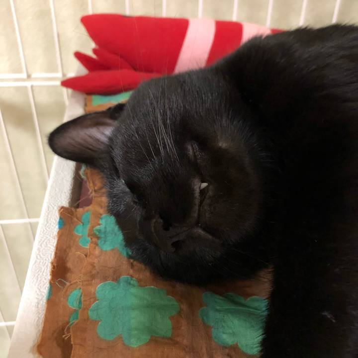 E679d8ef a8c6 43c0 8be5 10a4da370508 1527954930827