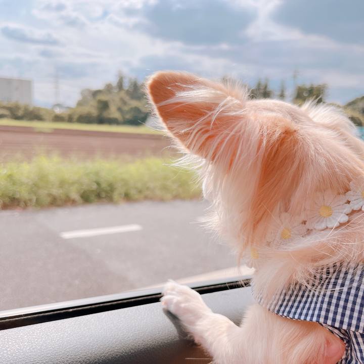 E67a67e8 1520 4e59 b1cd c5d5766df256 1663655140011