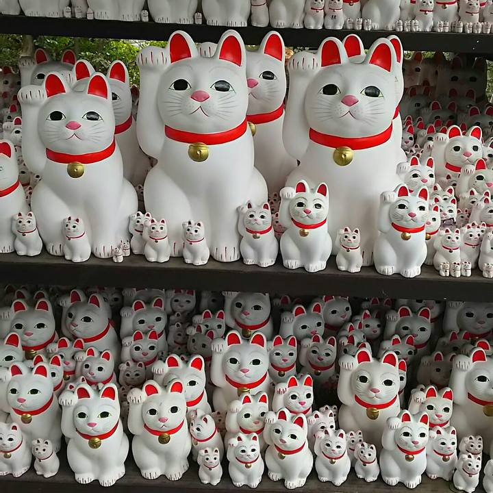 E67a79bd 065c 4783 a300 538ea92542c6 1551497539706