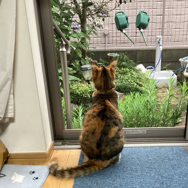 E67a8016 1efd 4acc 829d cc1e03718018 1657750906772