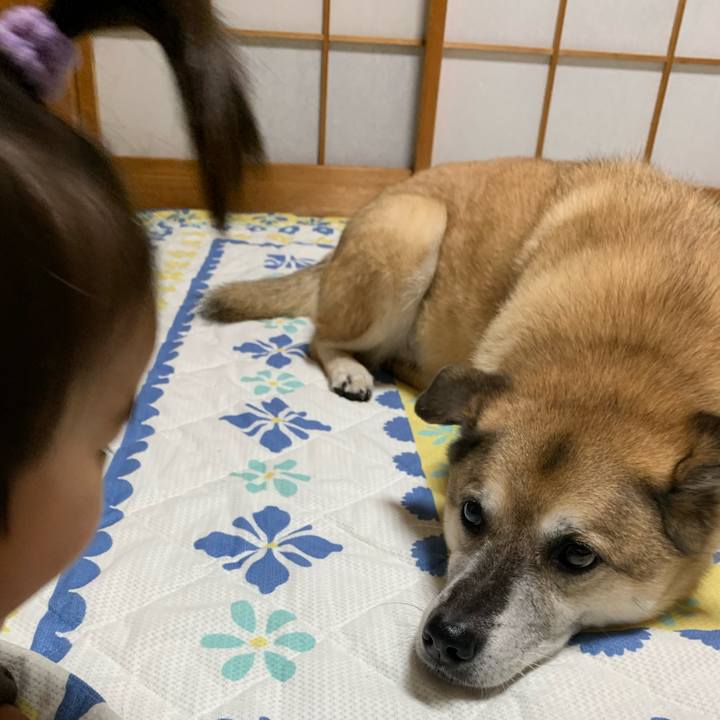 E67a80b3 7b01 44b5 a0e8 94072a9055a5 1637401550807