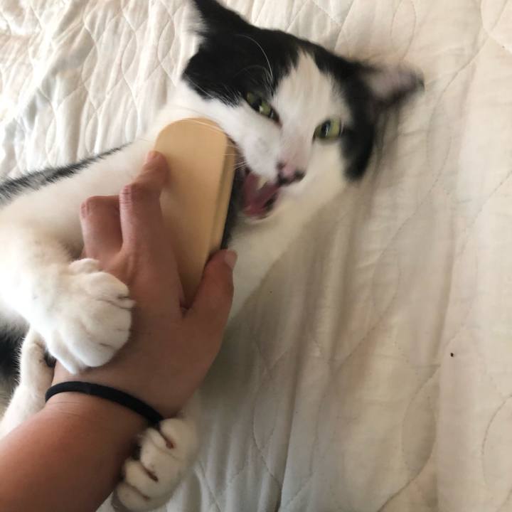 E67aa119 95ae 4156 b097 935cfe7cf4bf 1559494688747