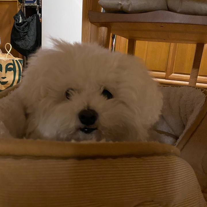 E67abd57 6946 4dbd 947b 3468cc2b5582 1669104138904