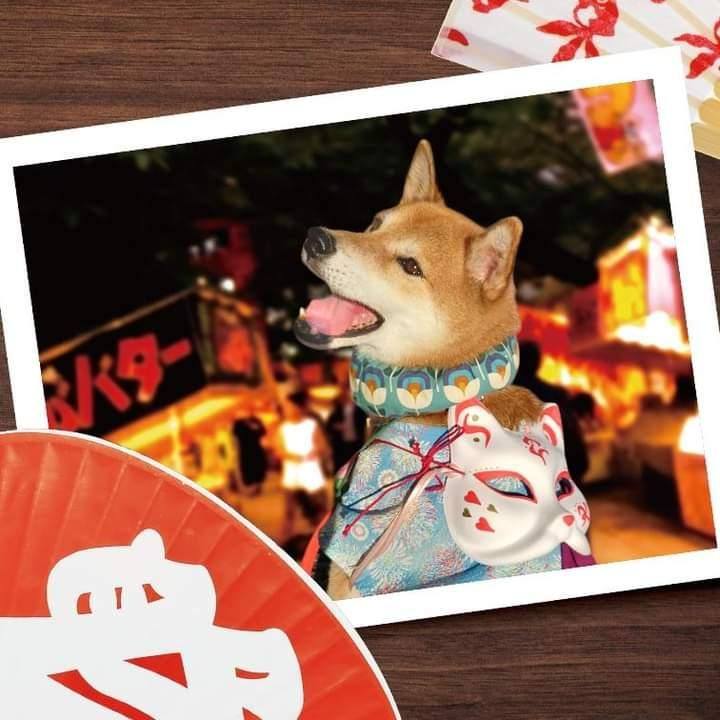 E67aed77 0c9f 4571 b334 fd047350c32b 1692895157538