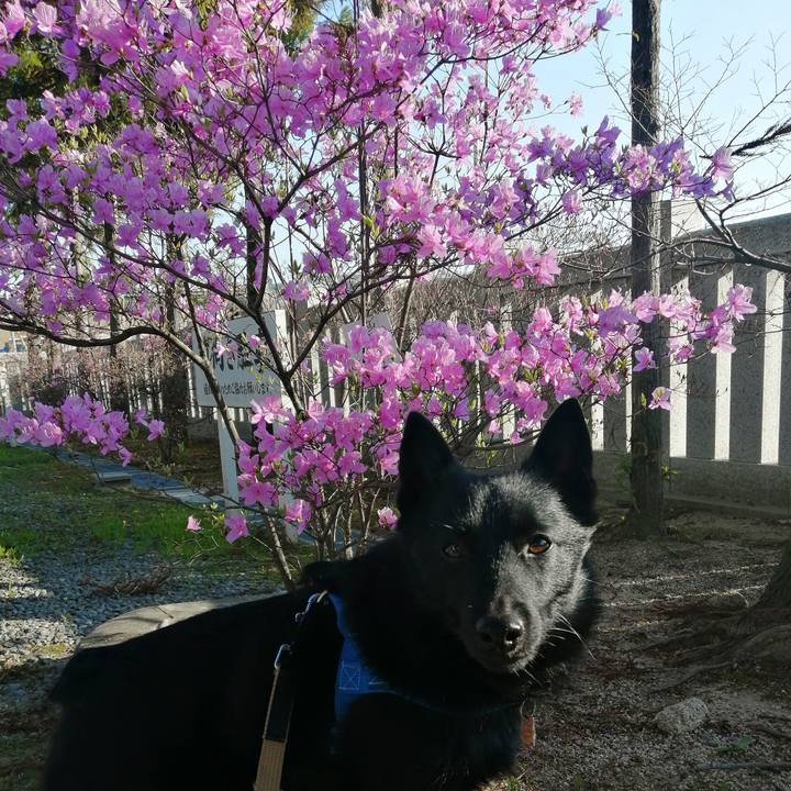 E67b0e92 4671 4fac a0b1 97c0869ba11c 1616799104150