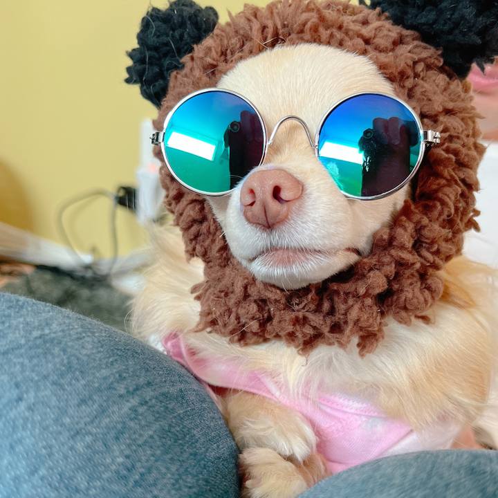 E67b9a30 de9b 4b07 ba56 220b6d4240e9 1651379132383