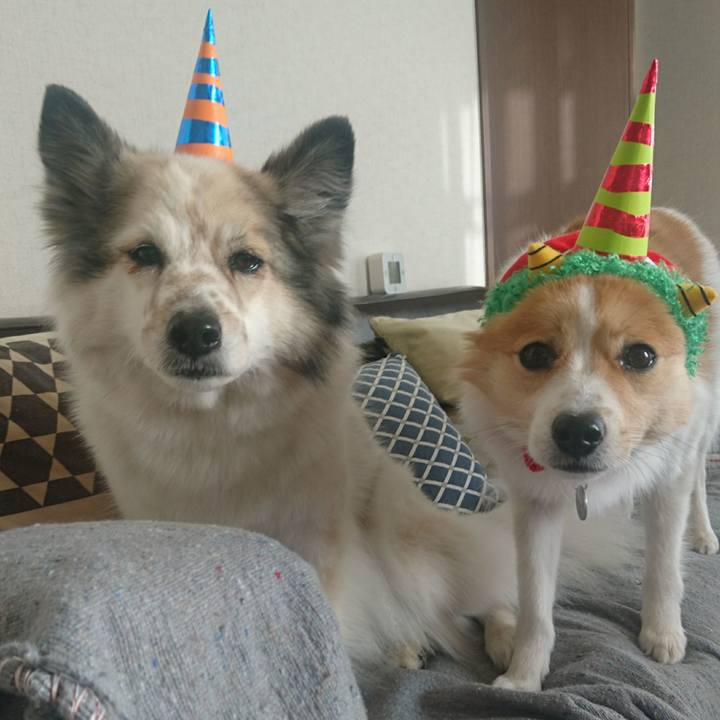 E67bbf04 24c6 47bb 9ee1 72e2f65efcb1 1549202551184