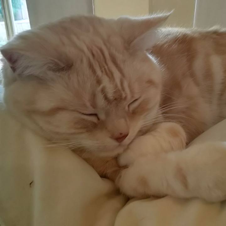 E67bd08c 9143 4147 8a1f 9876522e9aae 1579738054964