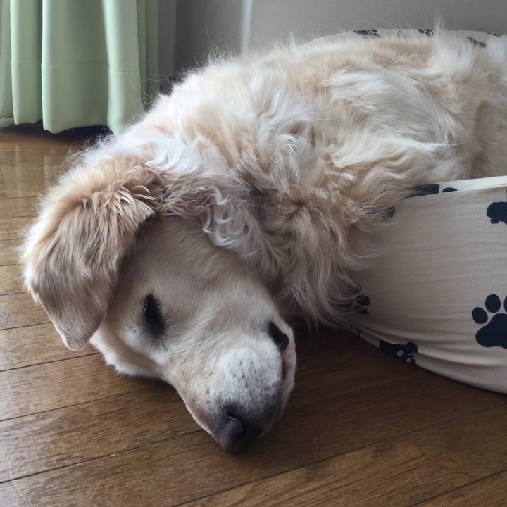 E67bdd75 20d0 4461 8a6e 4ab913e341bf 1551501421155