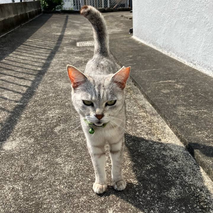 E67c0408 5a9a 495d 9519 36171cf75210 1764057048887