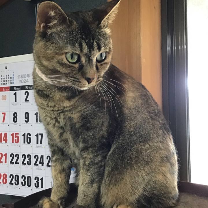 E67c084b 85ab 49e8 9634 136531ec5737 1721553379144