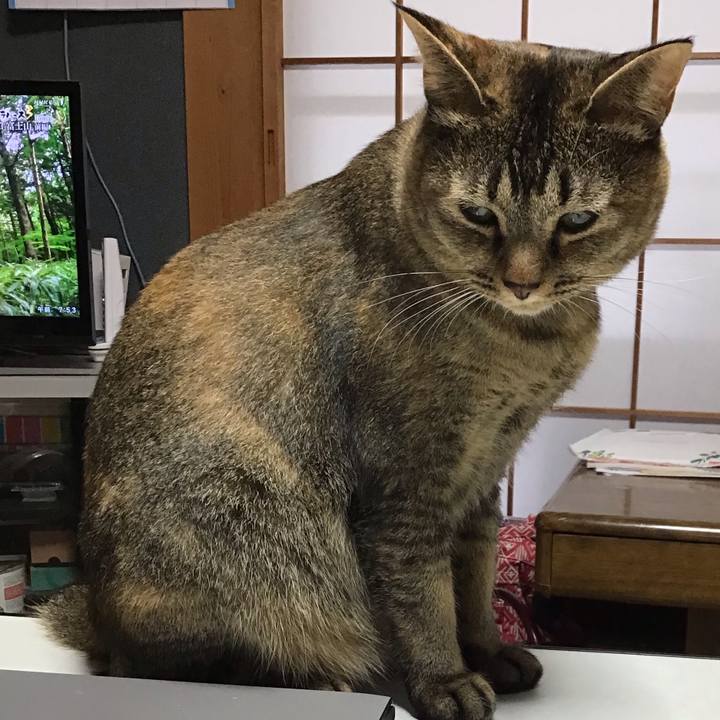 E67c2a00 55da 416b be4a 44980e0b27a5 1631148284766