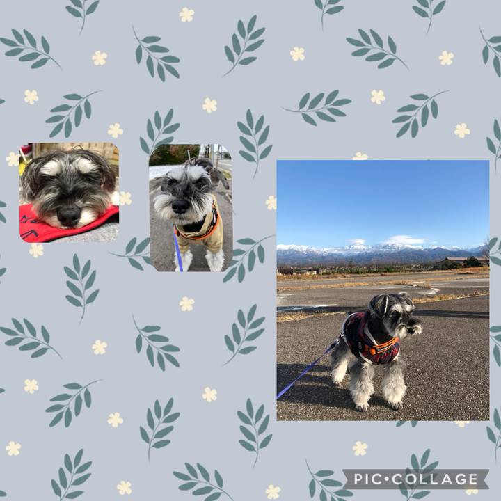 E67c471f 7b10 4c0d a200 853ecca14bba 1731205658236