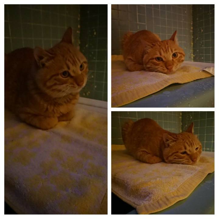 E67c5437 5385 4589 8167 ebb7c3304152 1652782365211