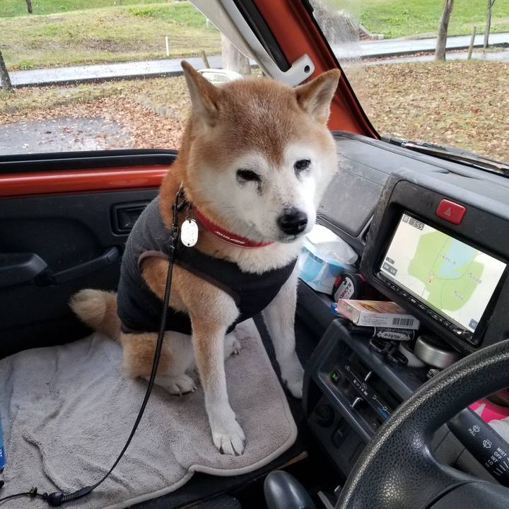 E67c7af0 c376 47c7 9f1a 74c12f6ad6cc 1730962569413