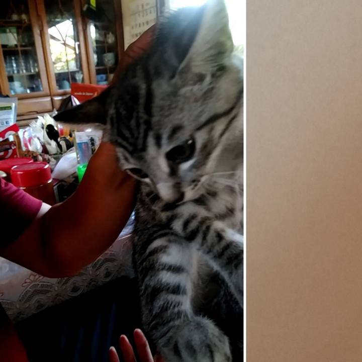 E67cd32b ad9c 4626 844f c24efbebdc5a 1692694050451