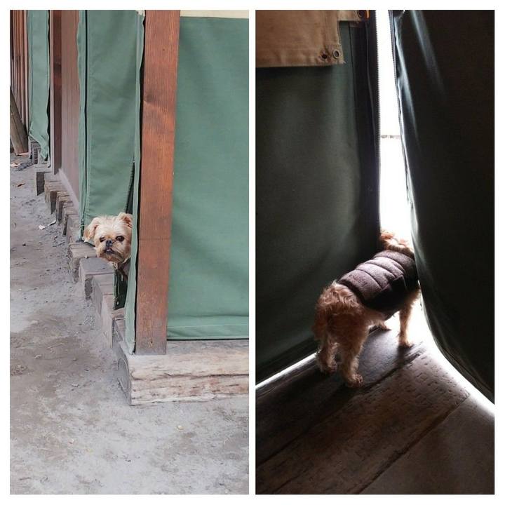 E67cf8c6 fac2 42a2 99b7 d39ba9dd6d83 1542593729957