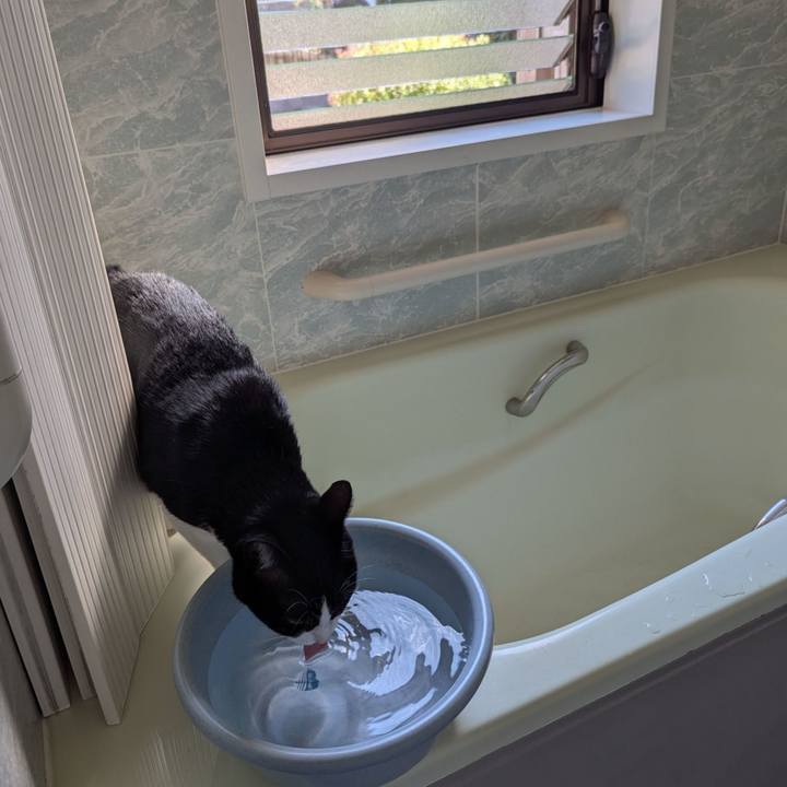 E67d1e15 3d08 4fbc b145 4b630c57eaab 1760159448616